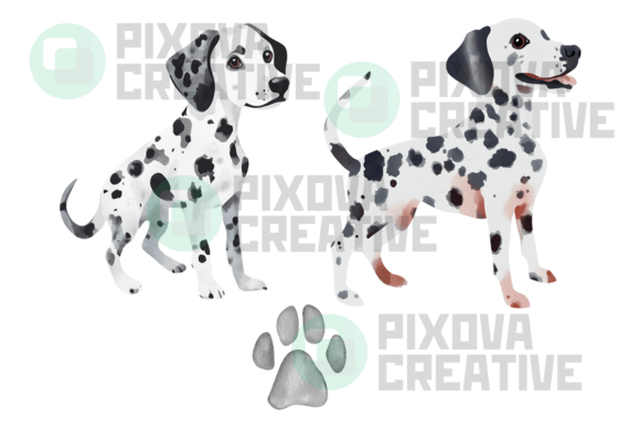 Dalmatians 3 Graphic PNG Bundle Pack